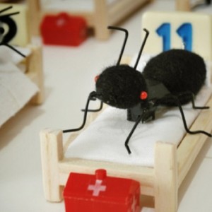 insecthospital