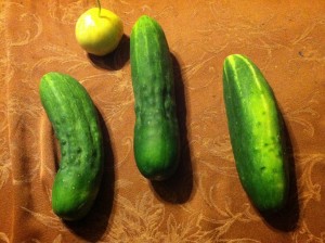 cucumbers